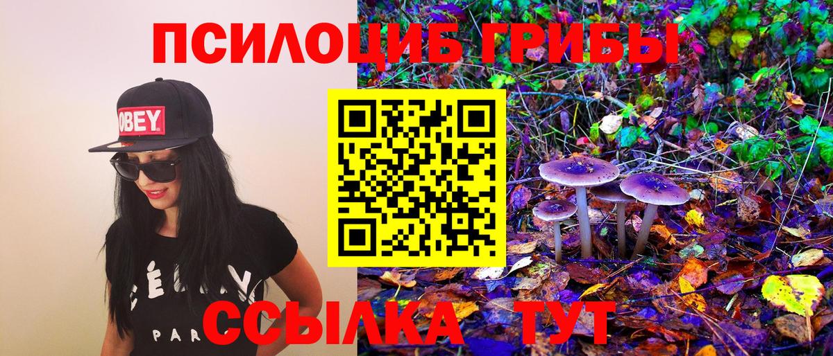 Псилоцибиновые грибы Psilocybine cubensis  Псилоцибиновые грибы ЛСД  Нурлат  Вход с VPN 