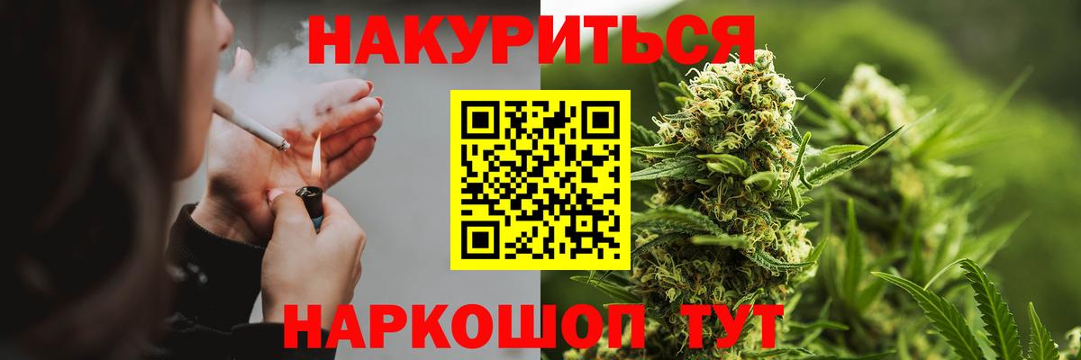Конопля сатива Нурлат
